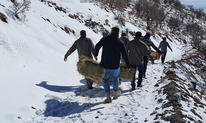 Karaman'da şartlar ağırlaştıkça miktar arıyor