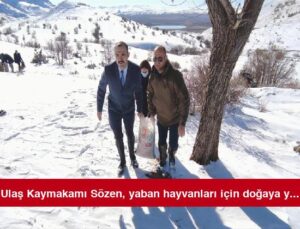 Ulaş Kaymakamı Sözen, yaban hayvanları için doğaya yem bıraktı