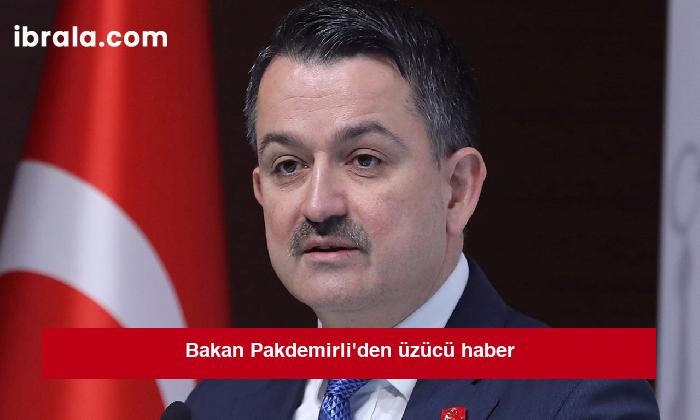 Bakan Pakdemirli’den üzücü haber