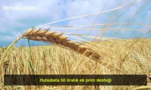 Hububata 50 liralık ek prim desteği