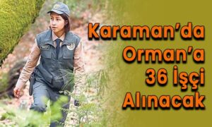 Karaman’da ormana 36 işçi alıncak
