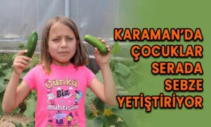 Karaman’da çocuklar serada sebze yetiştiriyor