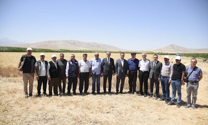 Karaman'da Vali ve Milletvekili buğday hasadında