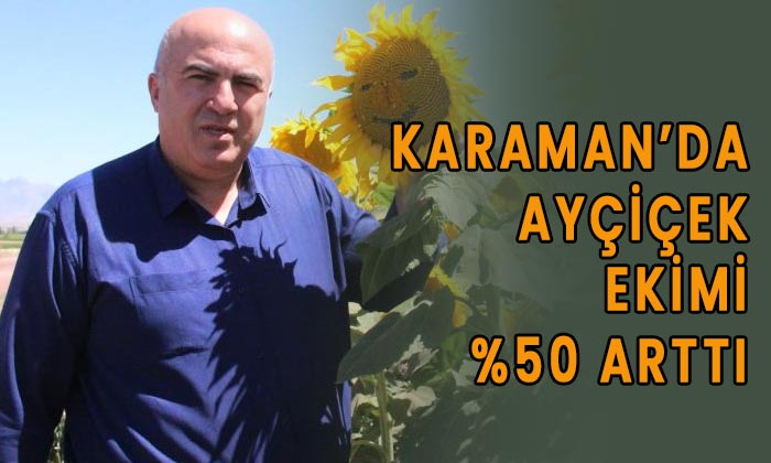 Karaman’da ayçiçek ekimi yüzde 50 arttı