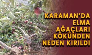 Karaman’da elma ağaçlarının kökünden neden kırıldı?