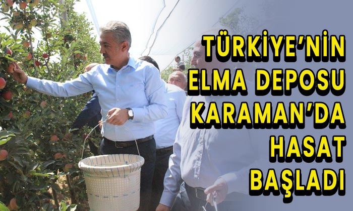 Türkiye’nin elma deposu Karaman’da hasat başladı
