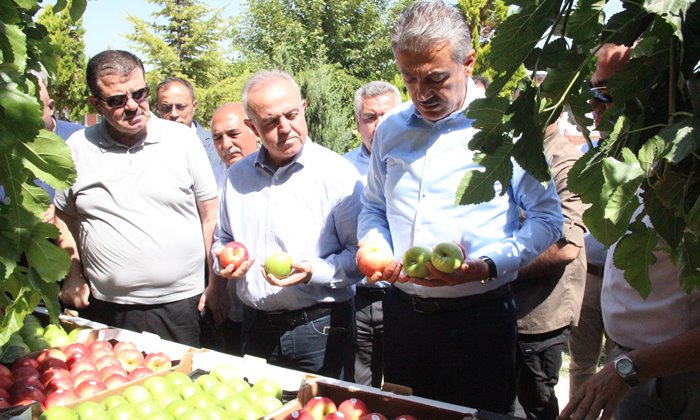 Türkiye’nin elma deposu Karaman’da hasat başladı