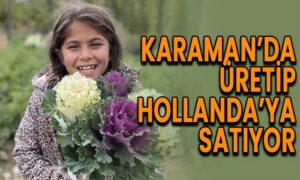 Karaman’da üretip Hollanda’ya satıyor