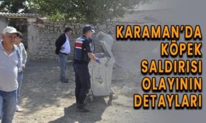 Karaman’daki köpek saldırısı olayının detayları
