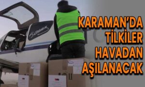 Karaman’da tilkiler havadan aşılanacak