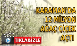 Karaman’da 12 milyon ağaç çiçek açtı