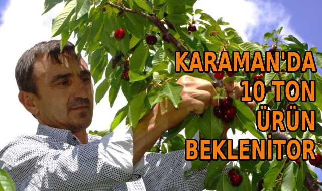 Karaman’da 10 ton ürün bekleniyor