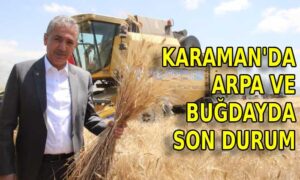 Karaman’da arpa ve buğdayda son durum