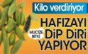Hafızayı dip diri yapıyor. Kilo verdiriyor. Mucize bitki