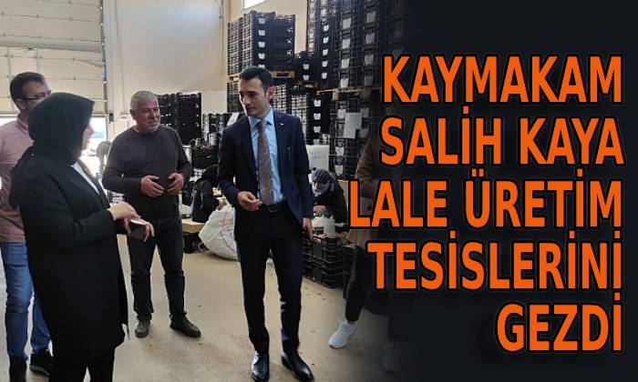 Kaymakam Salih Kaya lale üretim tesislerini gezdi