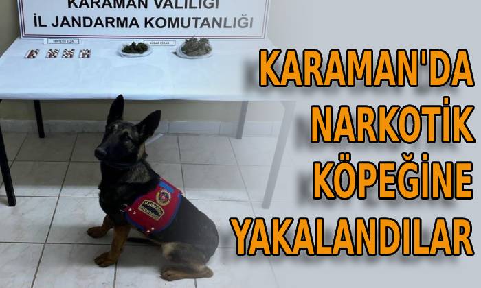 Karaman’da narkotik köpeğine yakalandılar