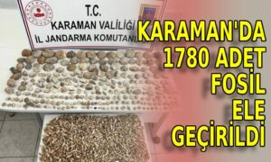 Karaman’da bin 780 adet fosil ele geçirildi