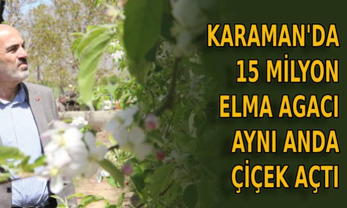 Karaman’da 15 milyon elma ağacı çiçek açtı