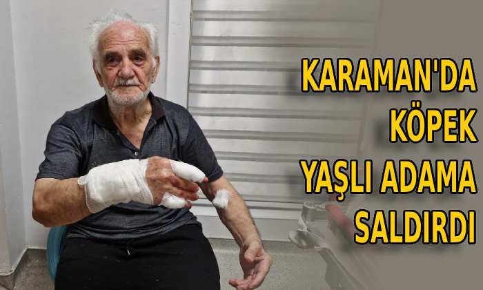 Karaman’da köpek yaşlı adama saldırdı