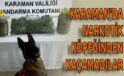 Karaman’da narkotik köpeğinden kaçamadılar