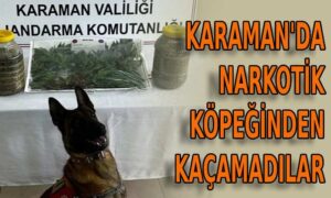 Karaman’da narkotik köpeğinden kaçamadılar