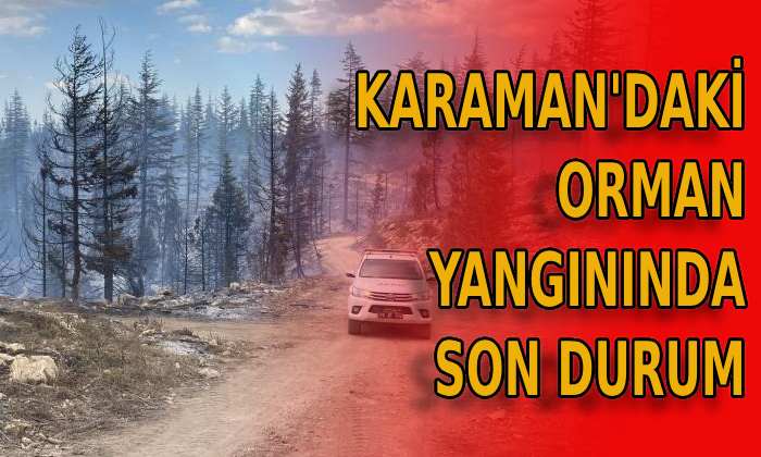 Karaman’daki orman yangınında son durum