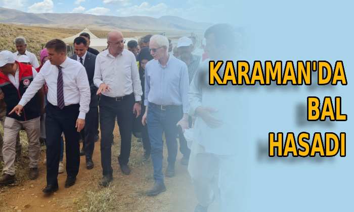 Karaman’da bal hasadı