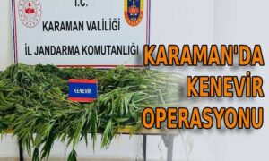 Karaman’da kenevir operasyonu