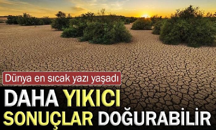 2024’te Dünya en sıcak yazı yaşadı