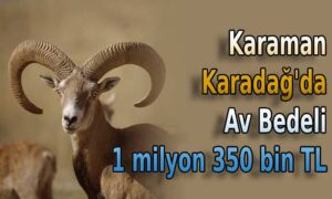 Karaman Karadağ’da av bedeli 1 milyon 350 bin TL