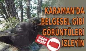 Karaman’da belgesel gibi görüntüleri izleyin