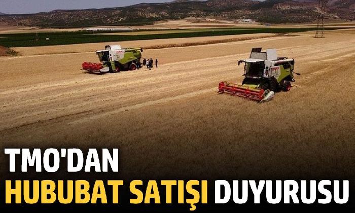 TMO hububat satışı duyurusu