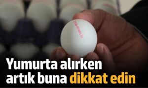 Yumurta alırken nelere dikkat etmeliyiz?