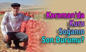 Karaman’da kuru soğanın son durumu