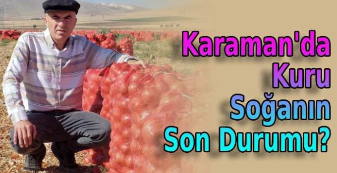 Karaman’da kuru soğanın son durumu