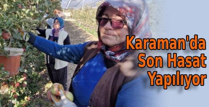 Karaman’da Son Hasat