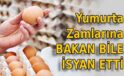 Yumurta Zamlarına Bakan Bile İsyan Etti