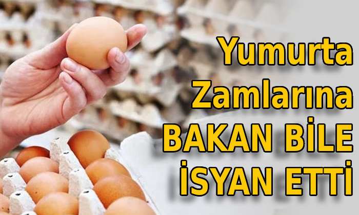 Yumurta Zamlarına Bakan Bile İsyan Etti