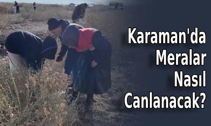 Karaman’da Meralar Nasıl Canlanacak?