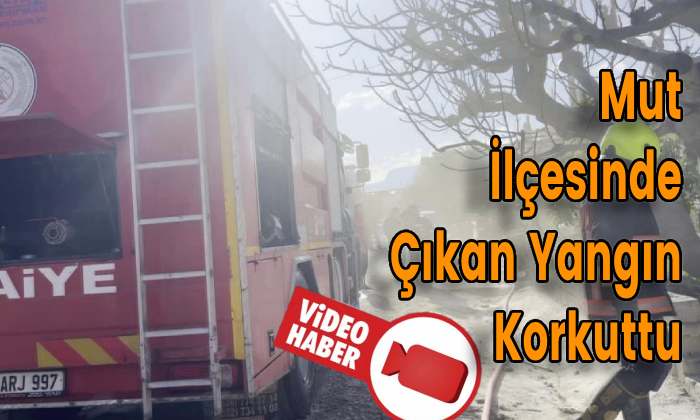 Mut İlçesinde Çıkan Yangın Korkuttu