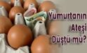Yumurtanın Ateşi Düştü mü?
