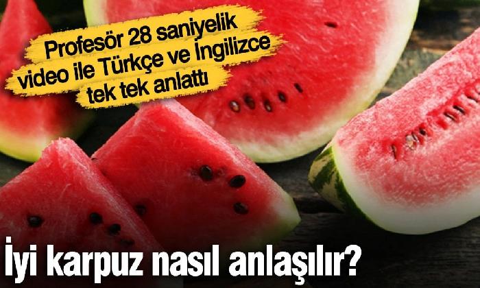 İyi karpuz nasıl anlaşılır?