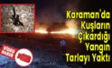 Karaman’da Kuşların Çıkardığı Yangın Tarlayı Yaktı