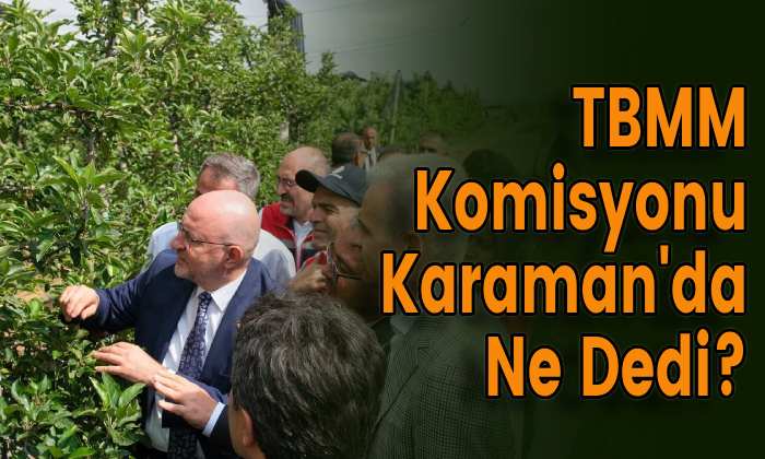 TBMM Komisyonu Karaman’da Ne Dedi?