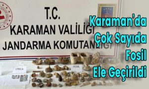 Karaman’da Çok Sayıda Fosil Ele Geçirildi