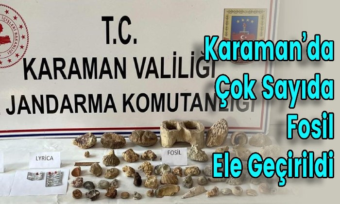 Karaman’da Çok Sayıda Fosil Ele Geçirildi