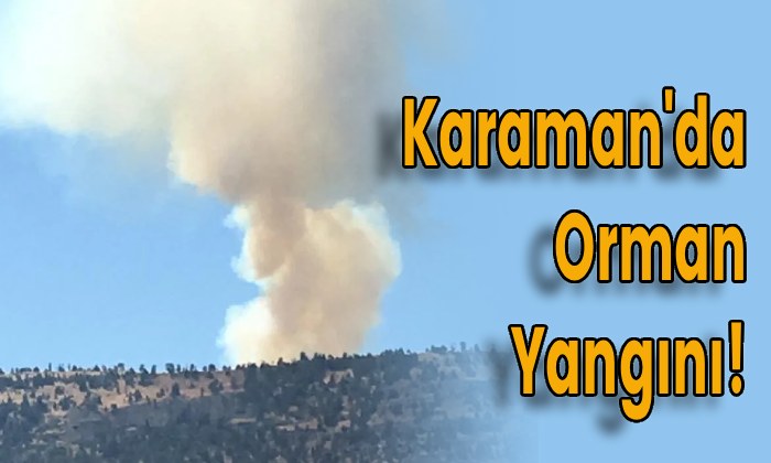 Karaman’da Orman Yangını!