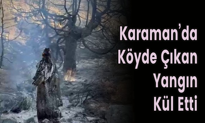 Karaman’da Köyde Çıkan Yangın Kül Etti