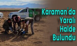 Karaman’da Yaralı Halde Bulundu