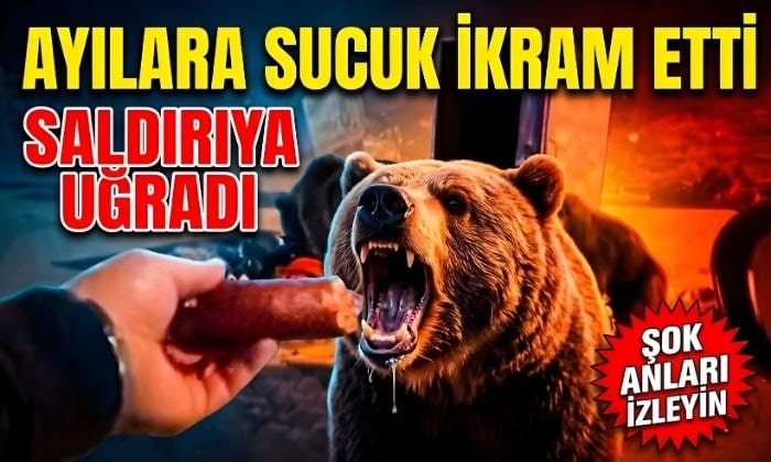 Sucuk İkram Edilen Ayılar Saldırdı
